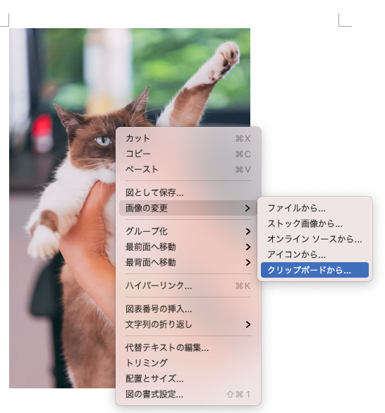 【Mac OS / Word】画像の変更 > クリップボードから のキーボードショートカットを設定する